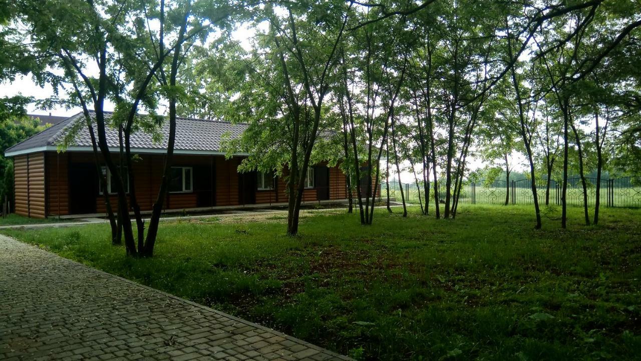 Отель "Лагита" Sergeyevka Exterior photo
